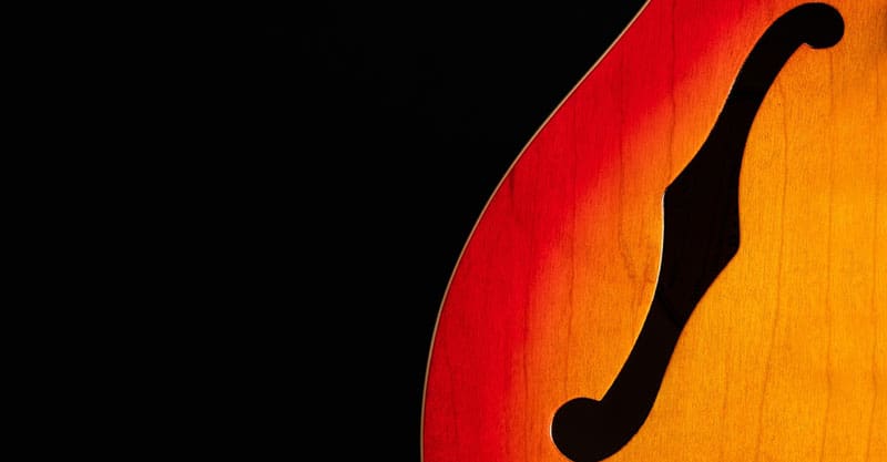 What Kinds Of Guitars Have F-Holes?